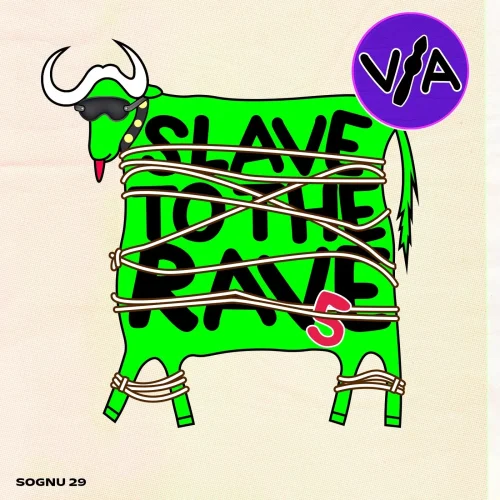 VA - Slave To The Rave #5