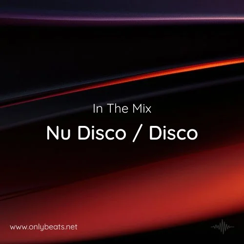 In The Remix 2026: Nu Disco / Disco