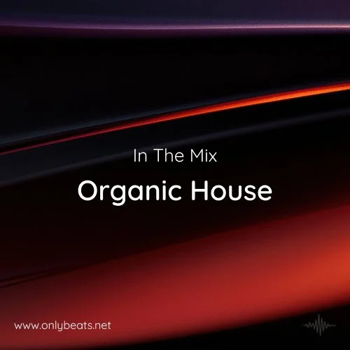 In The Remix 2026: Organic House