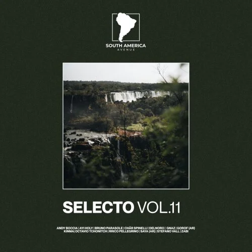 VA - Selecto South America Vol. 11