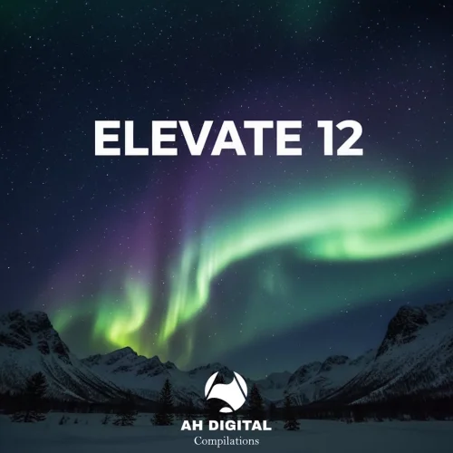 VA - Elevate 12