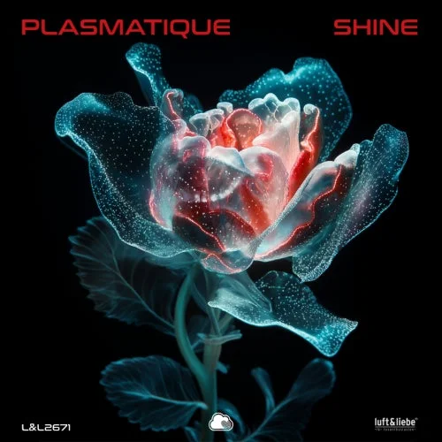 "Shine" Chart - Plasmatique