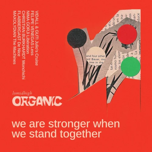 VA - We Stand Stronger When We Stand Together
