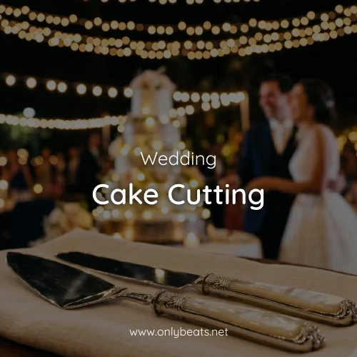 Wedding Cake Cutting