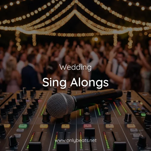 Wedding Dinner Sing Alongs