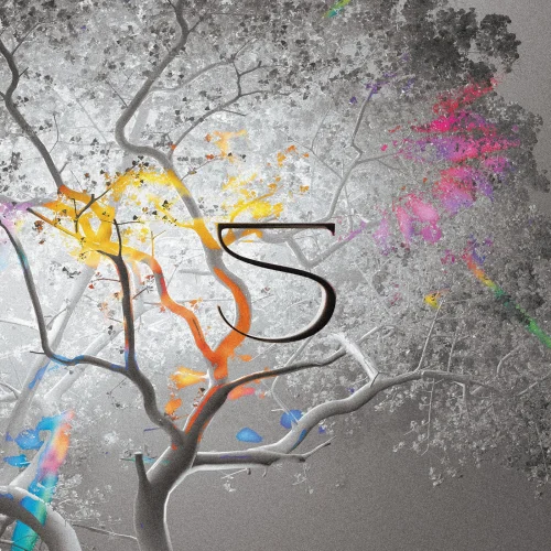 VA - 5 Years [FSR014]