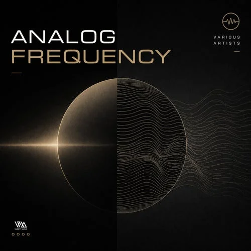 VA - Analog Frequency, Vol. 1