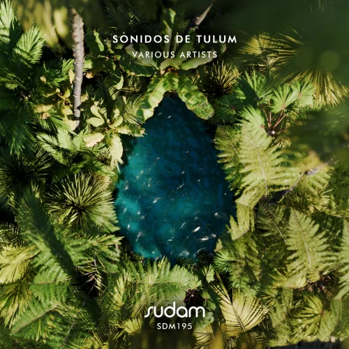 Sonidos de Tulum