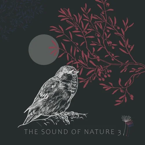 VA - The Sound of Nature 3