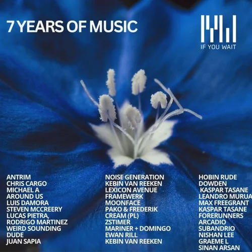VA - 7 Years of if You Wait