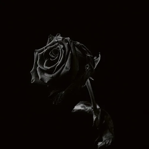 Viclan - Healing Wounds