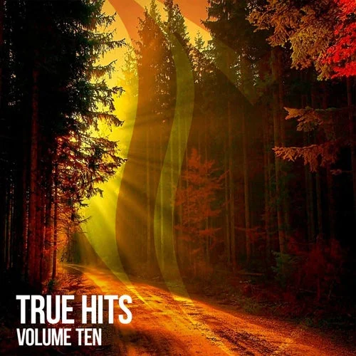 VA - True Hits, Vol. 10